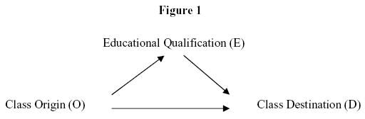 education and stratification